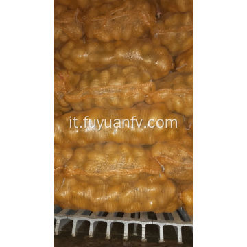 patata tengzhou di alta qualità